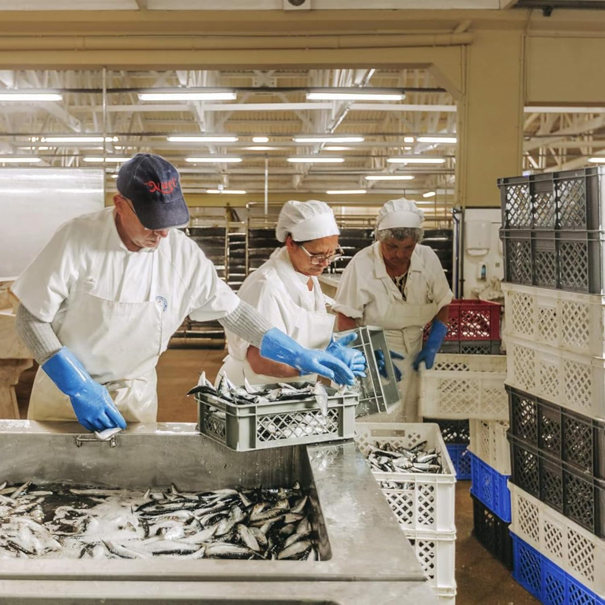 Nuri portugal packaging reinforces authenticity and freshness on shelves.