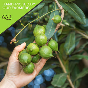 Nut Cravings macadamia nuts for baking ideas and creamy desserts.