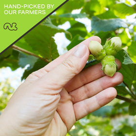 Nut Cravings resealable bag keeps hazelnuts fresh between uses.