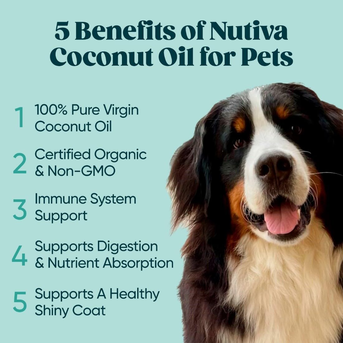 Nutiva coconut oil body scrub ready for exfoliation and nourishment.