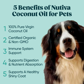Nutiva coconut oil on kitchen counter ready for baking and skin care routines.