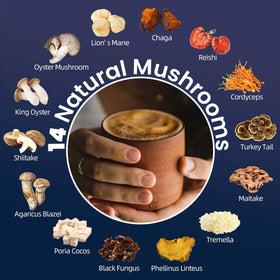 NutraTaste Mushroom Hot Cocoa steaming cup invites calm evenings