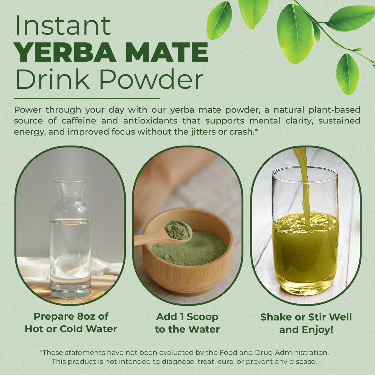 Nutratology Yerba Mate Instant Tea Powder ingredients bundle with fiber and probiotics