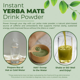 Nutratology Yerba Mate Instant Tea Powder ingredients bundle with fiber and probiotics