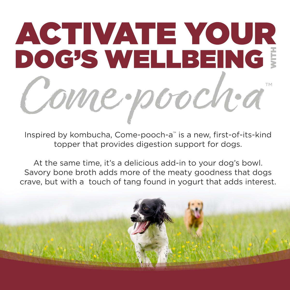 NutriSource Come-Pooch-A bottle close-up highlights postbiotic fermentation benefits.