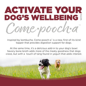 NutriSource Come-Pooch-A bottle close-up highlights postbiotic fermentation benefits.