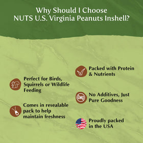 NUTS U.S. 5 lb bag of in-shell peanuts for outdoor feeders.
