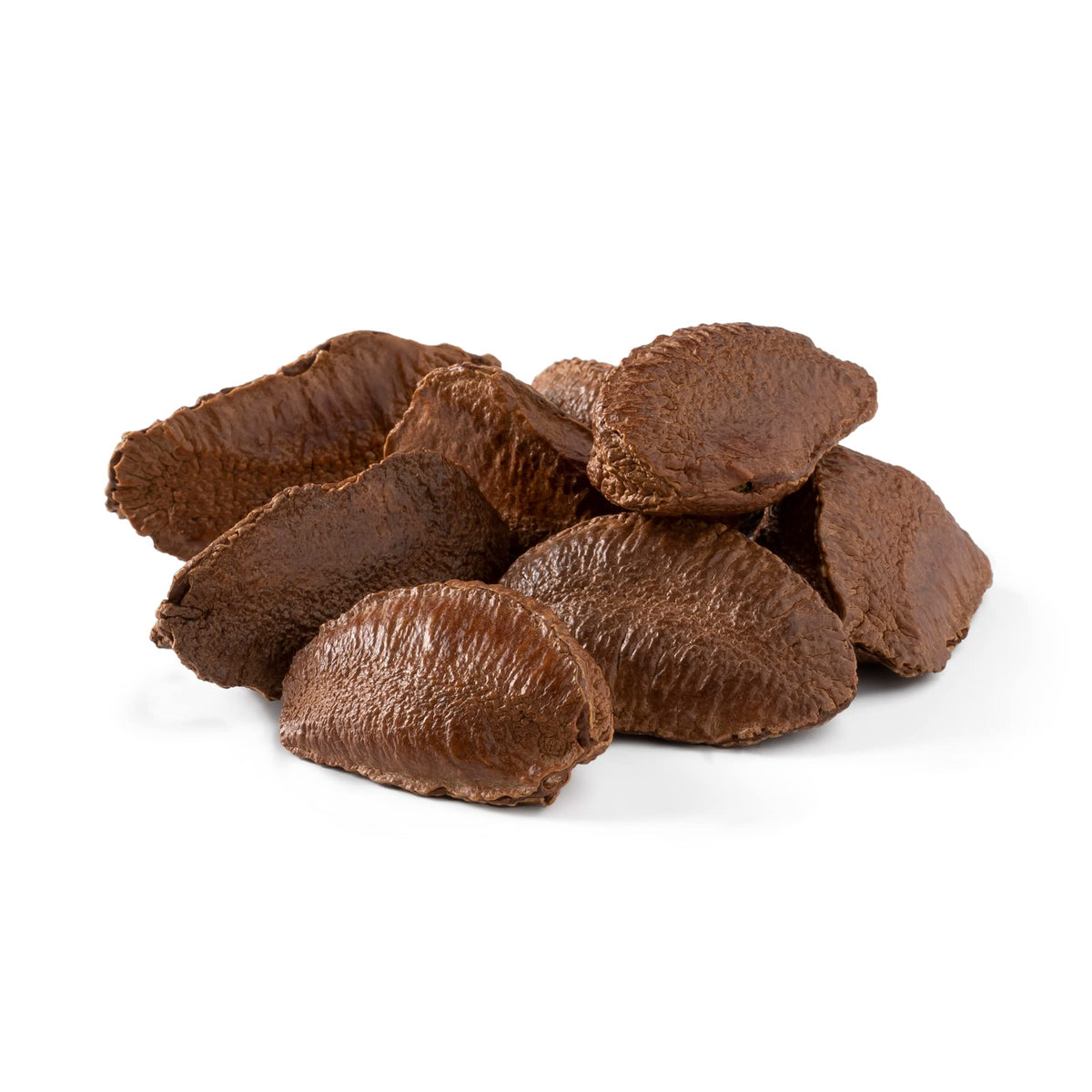 NUTS U.S. Brazil nuts in shell in bag for fresh snacking.