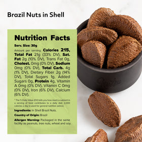 NUTS U.S. Brazil nuts in shell pasteurized and polished for clean eating.