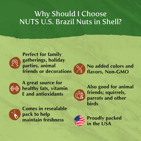 NUTS U.S. shelf-ready Brazil nuts for trail mixes.