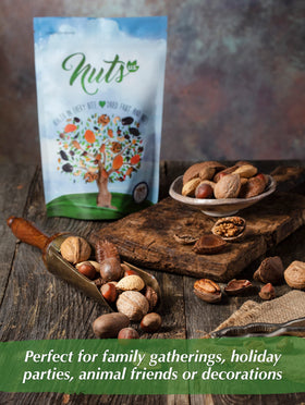 NUTS U.S. mixed nuts on serving tray: ready for on-the-go snacking.