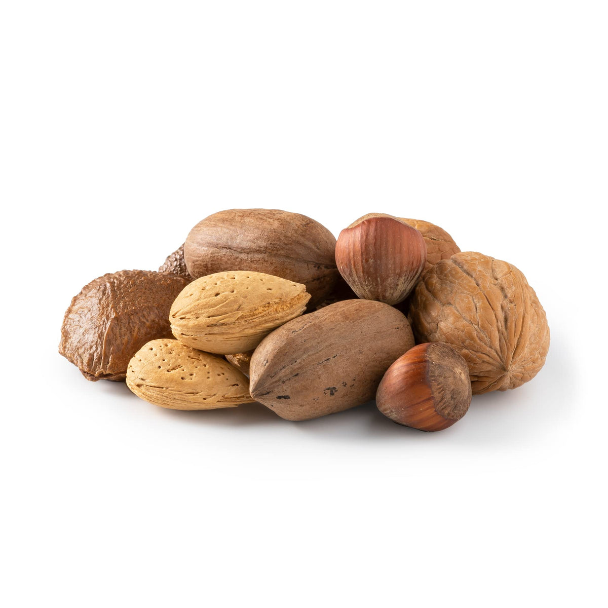 NUTS U.S. mixed nuts in-shell with almonds, walnuts, hazelnuts, pecans, and Brazil nuts.