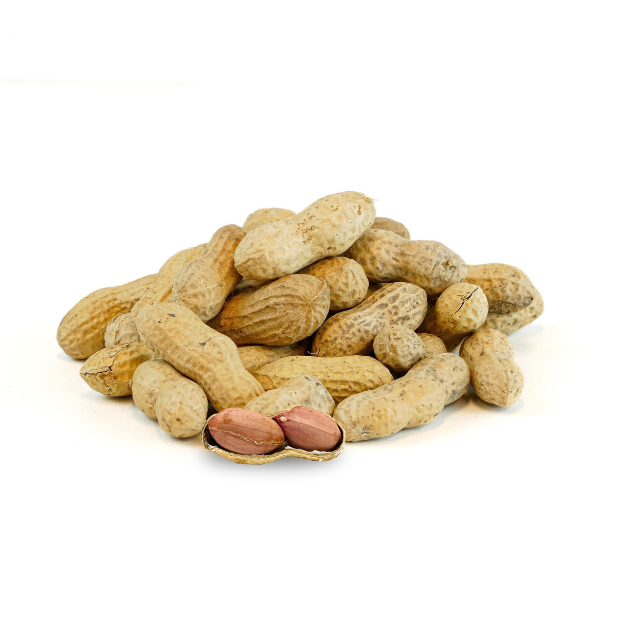 NUTS U.S. in-shell peanuts, USA-grown with large kernels for wildlife feeding.