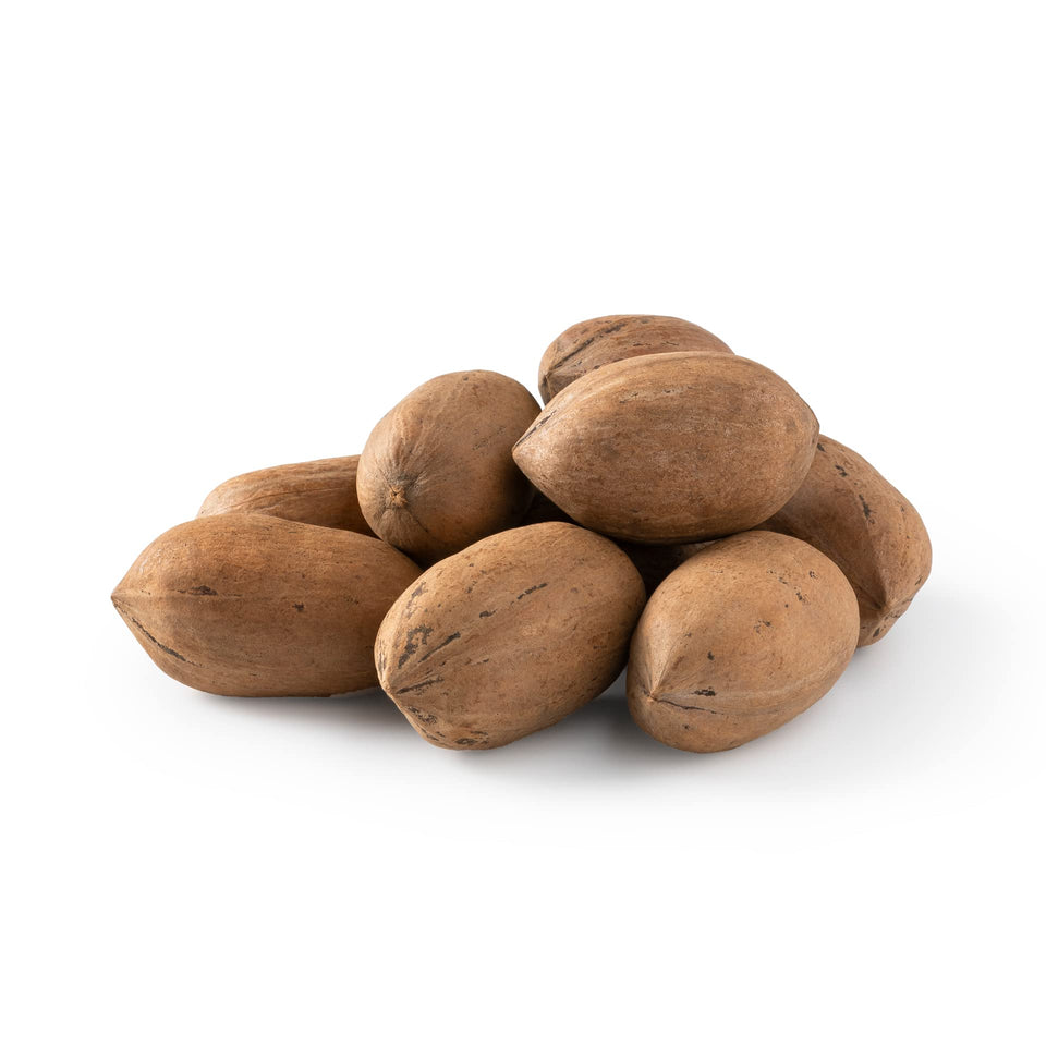 NUTS U.S. pecans in shell — open bag reveals fresh, raw nuts for snacking.