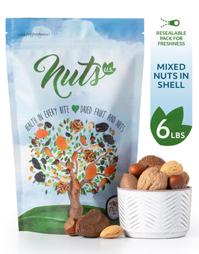 NUTS U.S. jumbo raw nuts in shell close-up showing fresh texture.