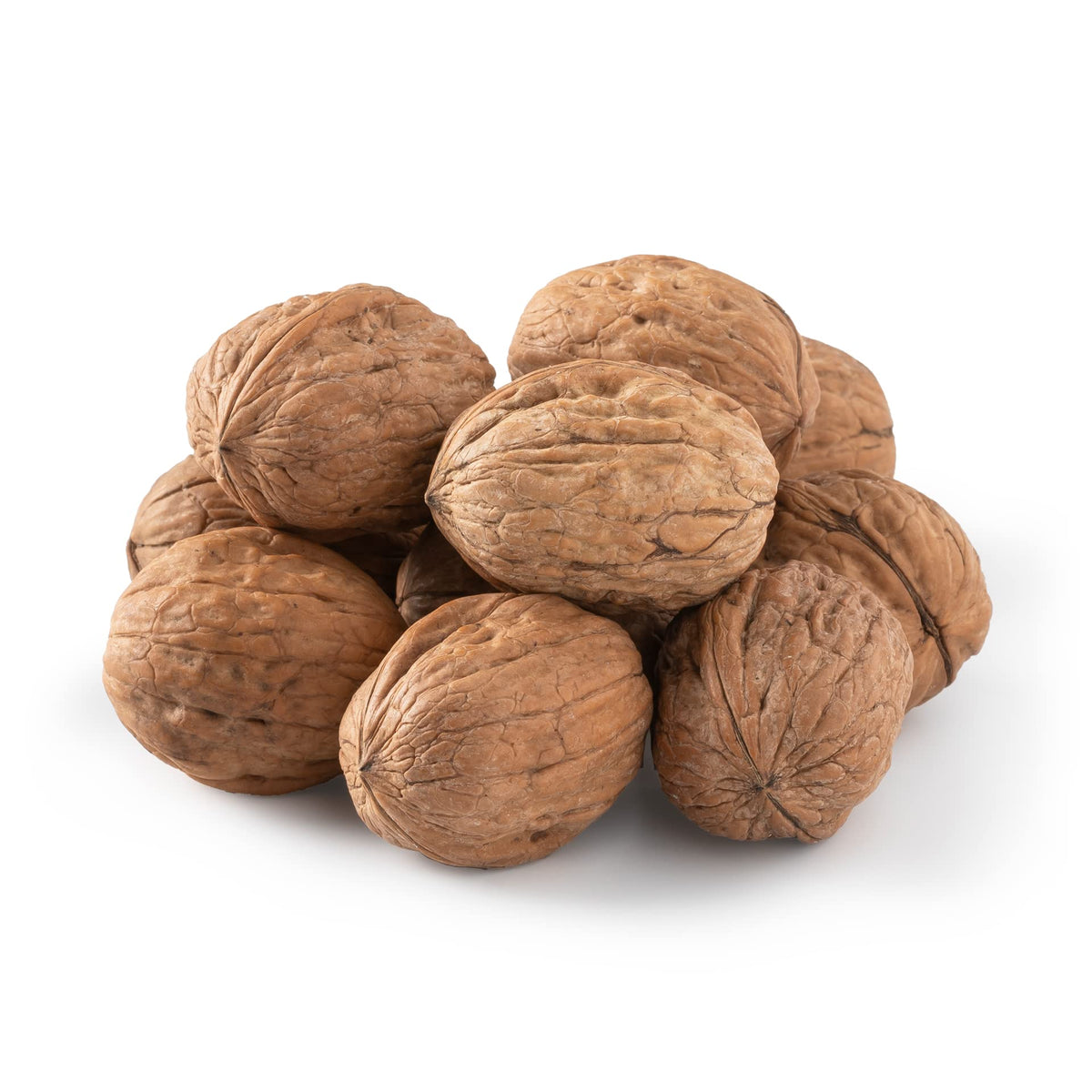 NUTS U.S. walnuts in shell Chandler variety – fresh and easy to crack.