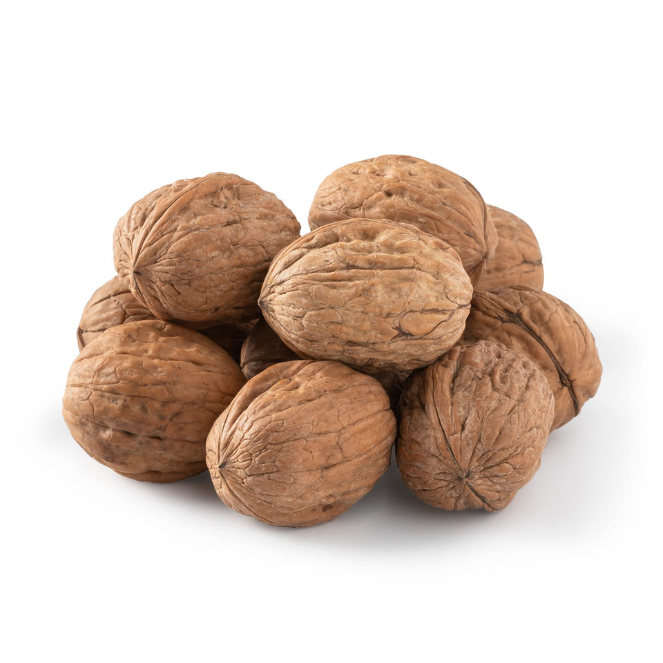 NUTS U.S. walnuts in shell Chandler variety – fresh and easy to crack.
