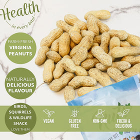 NUTS U.S. wildlife feeding image shows squirrels and birds enjoying peanuts.