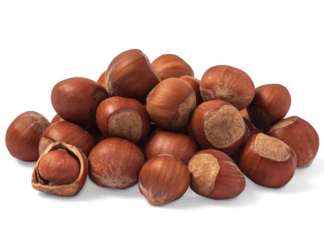 Close-up of raw jumbo hazelnuts in shell, ideal for roasting