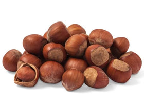Close-up of raw jumbo hazelnuts in shell, ideal for roasting