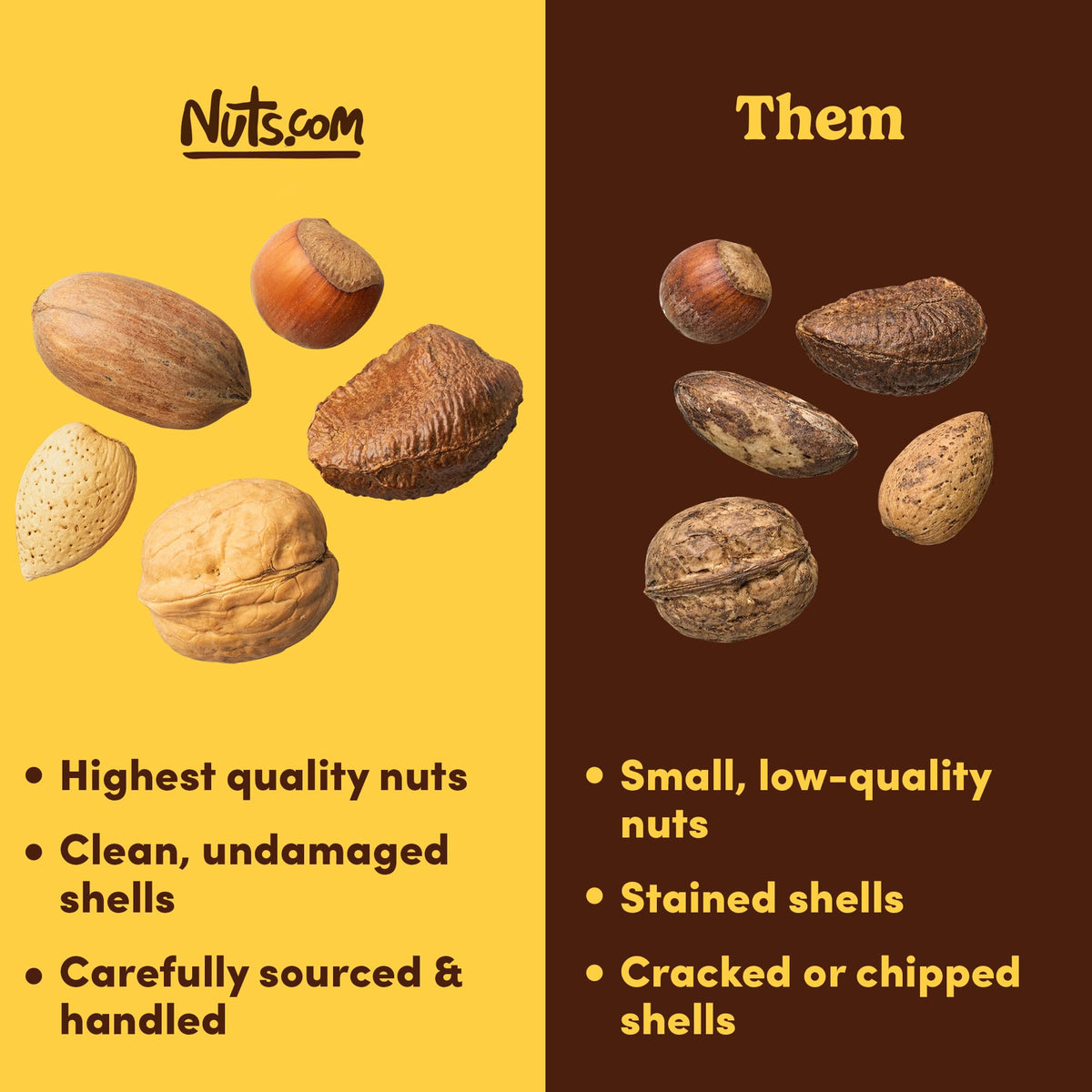 Nuts.com premium walnuts in shell displayed with rich texture