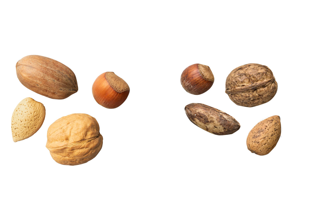Nuts.com resealable bag preserves freshness for on-the-go snacking.