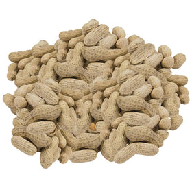 Obelys salted in-shell peanuts closeup highlighting flavor and crunch.