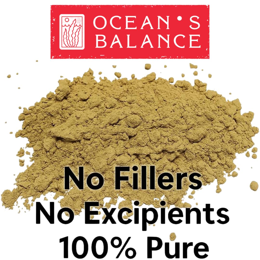 Ocean’s Balance Clean kelp powder in a recipe-ready jar with minerals.