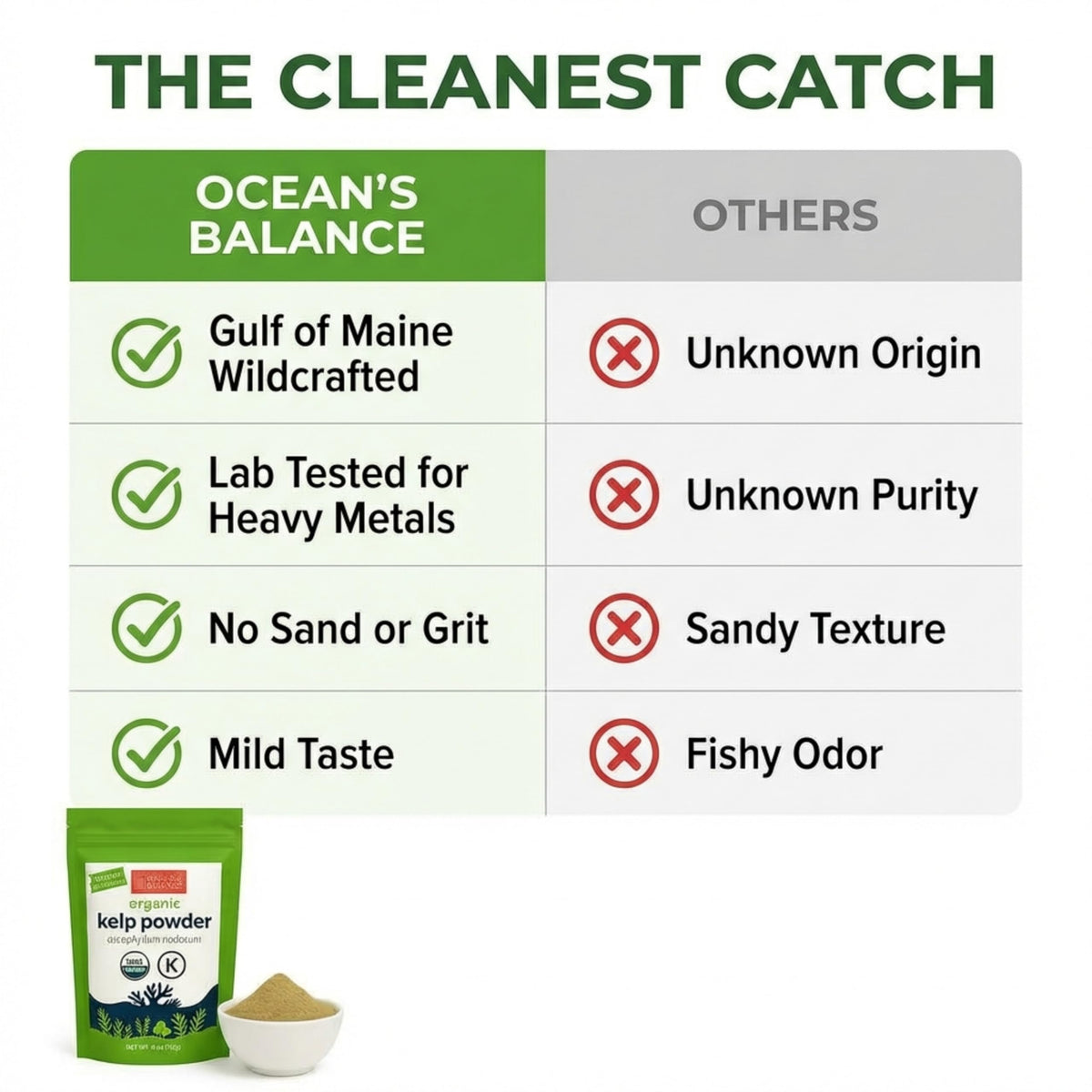 Ocean’s Balance Clean kelp powder scoop in a bowl ready for smoothies.