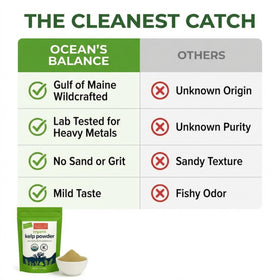 Ocean’s Balance Clean kelp powder scoop in a bowl ready for smoothies.