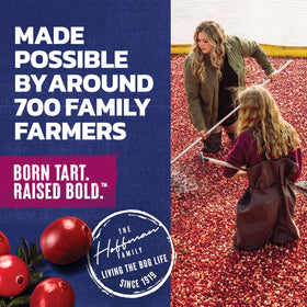 Ocean Spray co-op farmers story highlighting cranberry sourcing.