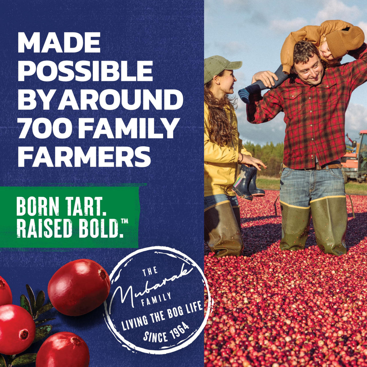 Ocean Spray Cran-Apple label detail reveals real fruit juice concentrate for rich flavor