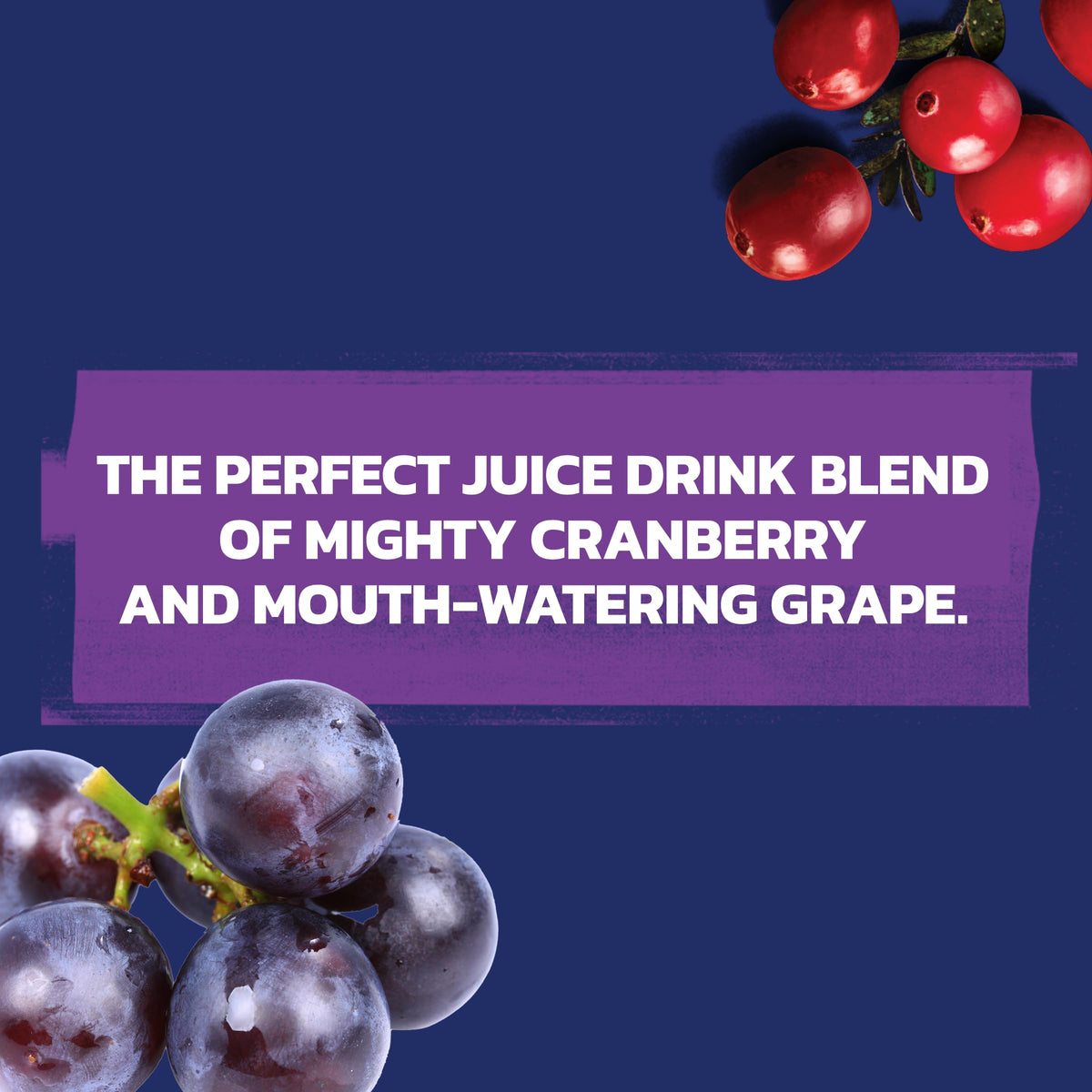 12-can Ocean Spray Cran-Grape pack ready for pantry or cooler