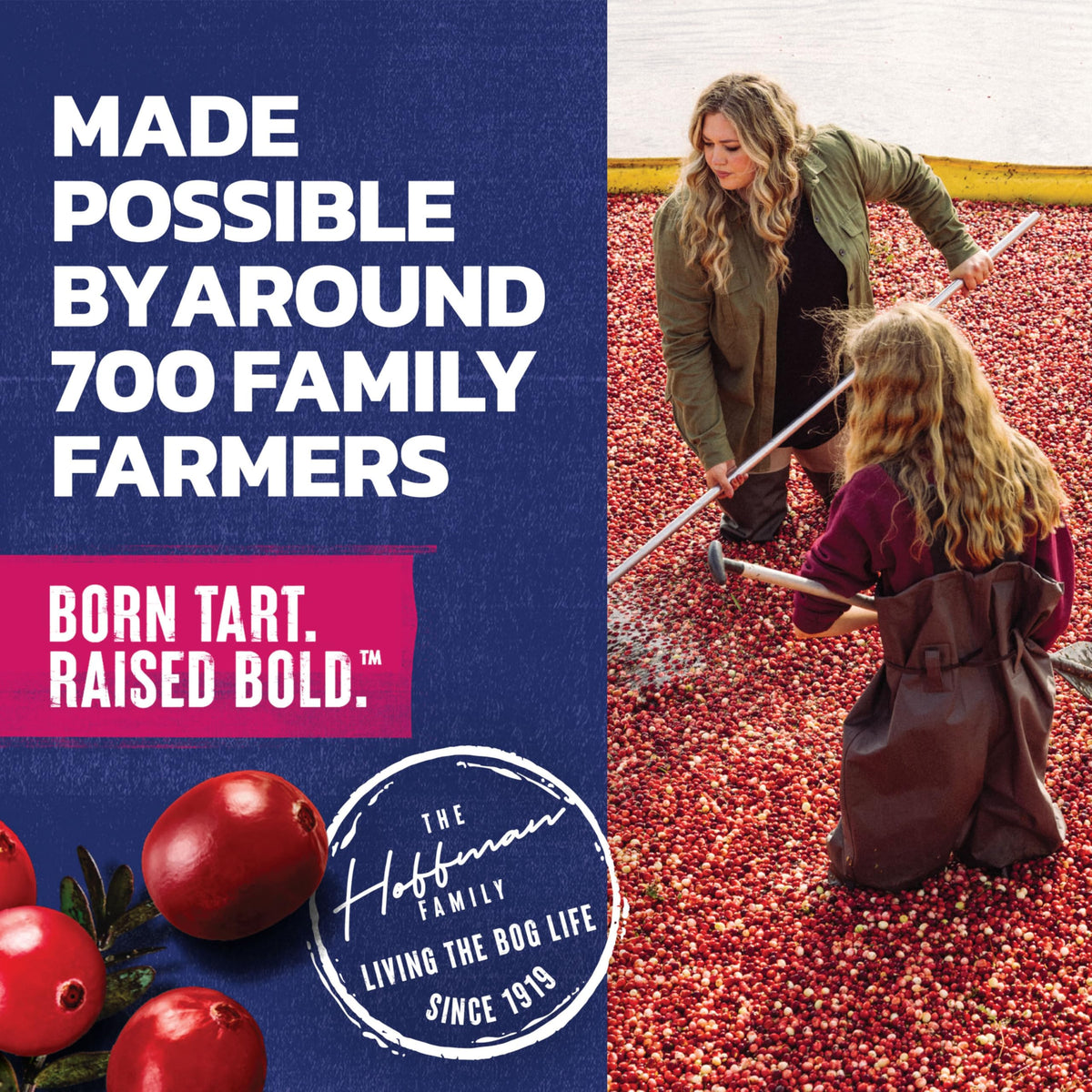Ocean Spray Cran-Raspberry eight-bottle pack displayed for family gatherings
