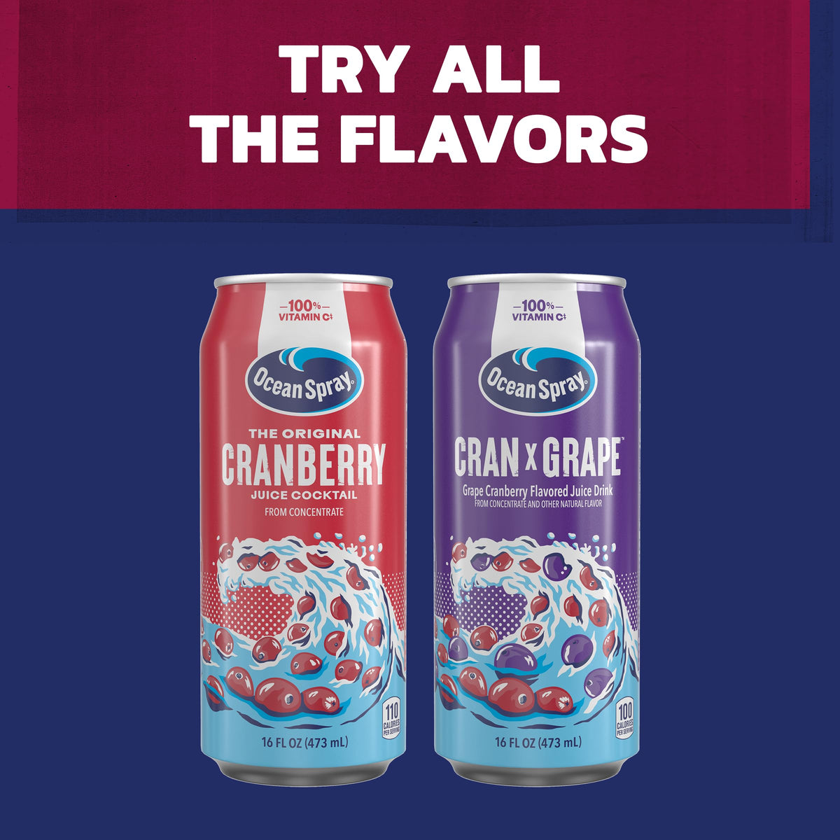 Ocean Spray Cranberry Juice Cocktail 16oz can served at a picnic, tasty and refreshing.