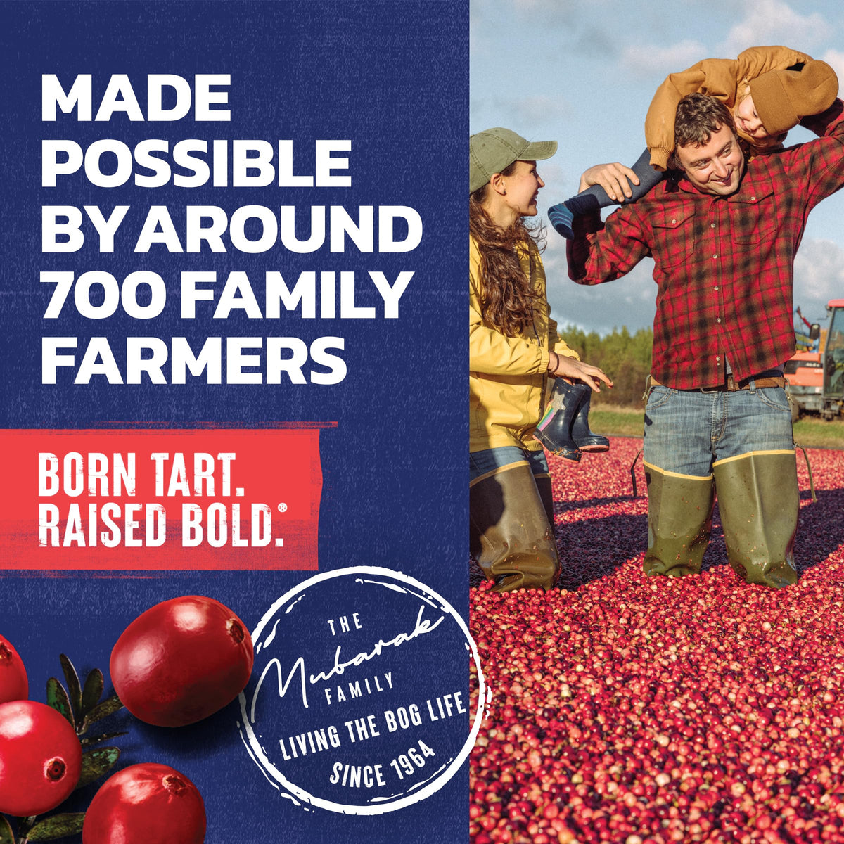 Ocean Spray Cranberry PACt Extract label close-up emphasizing natural PACs and no artificial flavors.