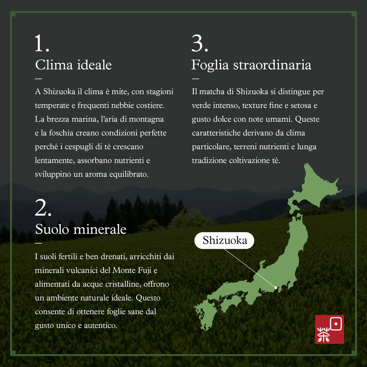 Ocha & Co. Itsumo Matcha Classic Grade bowl with whisk ready for ceremony
