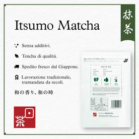 Ocha & Co. Itsumo Matcha Classic Grade fine powder shown vibrant and silky