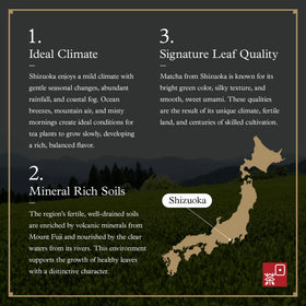 Ocha & Co ceremonial matcha latte showcase with creamy texture.