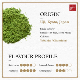 Ocha Co mild mellow matcha close-up reveals smooth powder.
