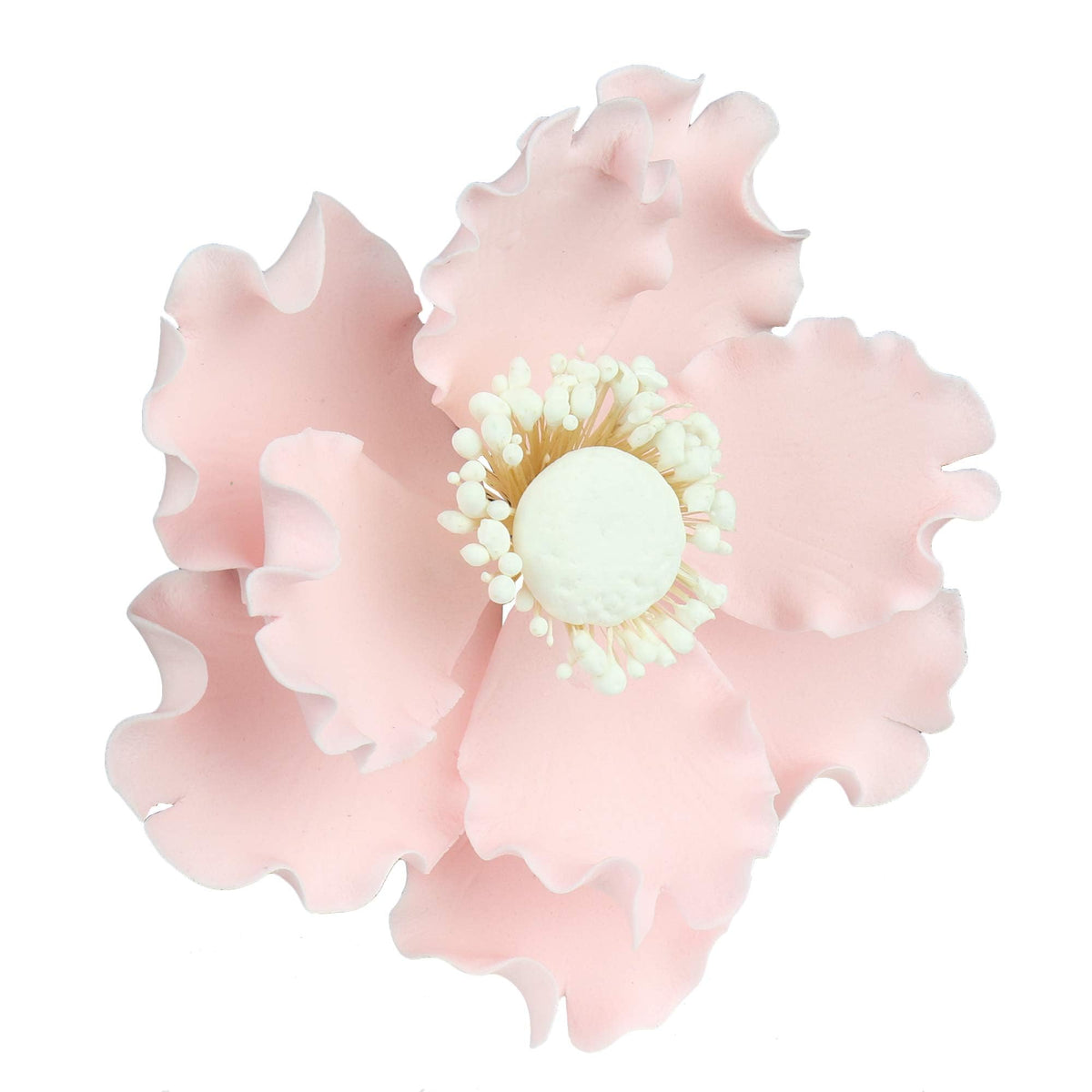Closeup of O'CREME anemone petals showing lifelike veining and shading