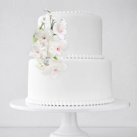 O'Creme white orchid petals with veining detail for cakes