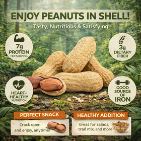 Office Roast peanuts in shell office snack time perfect for desks