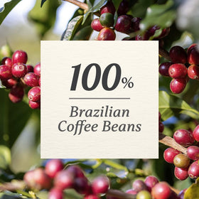 O’Food Rosebud Coffee Mix travel sticks enable hot café-style drinks anywhere.