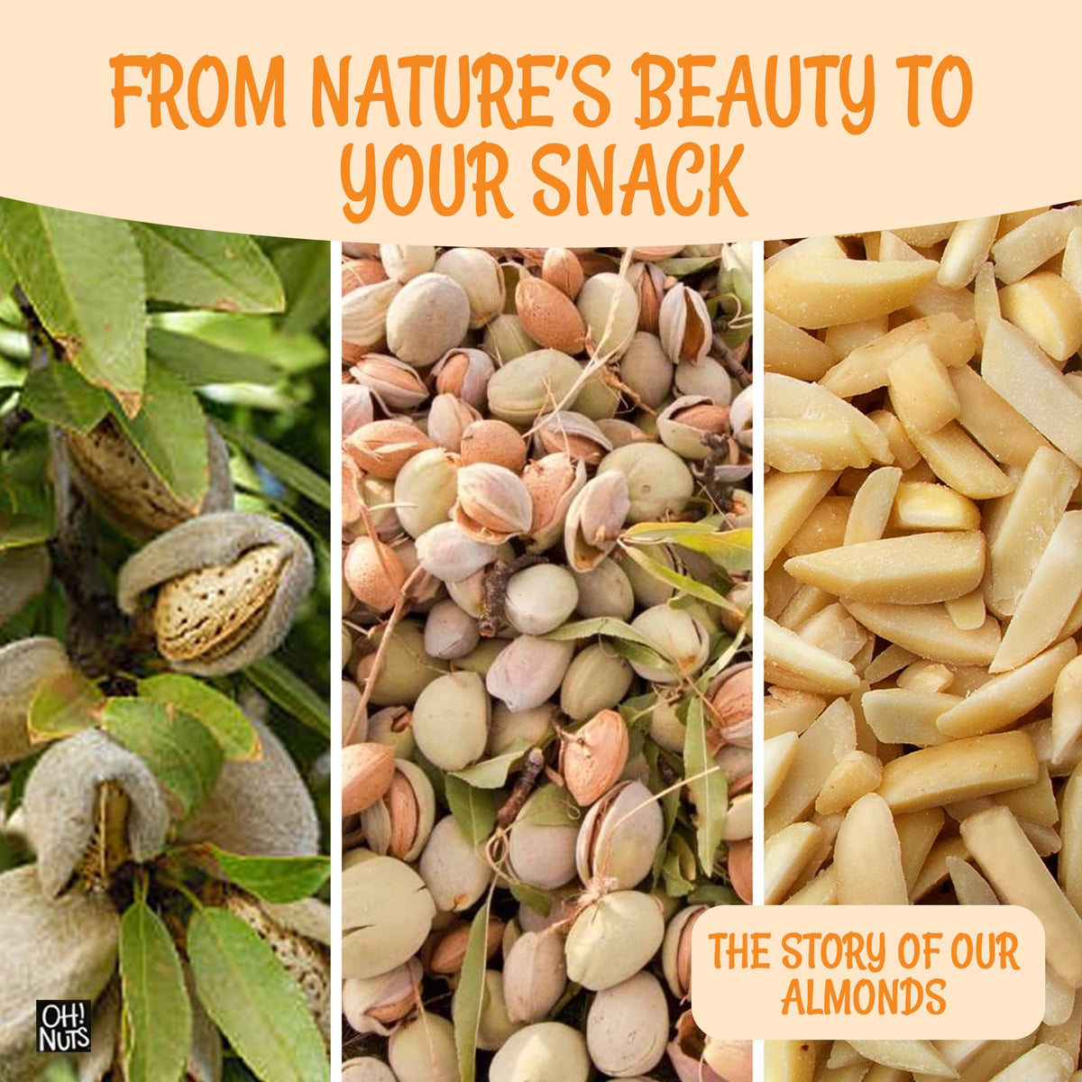 Oh! Nuts almonds for baking muffins add texture and flavor.