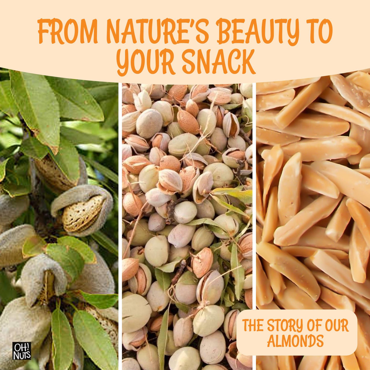 Oh! Nuts Almonds colorfully packaged in teal orange green purple bags, easy pantry pick.