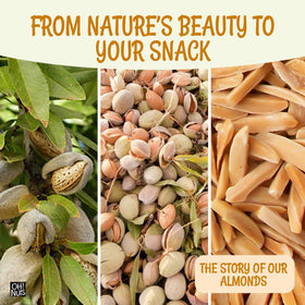 Oh! Nuts serving bowl with almonds ready for a quick snack
