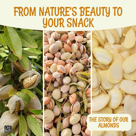 Oh! Nuts snack-time almonds shown for on-the-go energy.