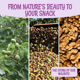 Oh! Nuts Kosher-certified raw walnuts, clean and additive-free.