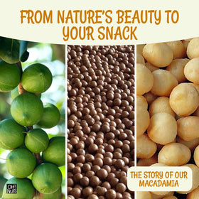 Oh! Nuts Macadamia on salad bowl as versatile topping for keto-friendly meals